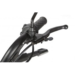 Трицикл Rutrike Экипаж