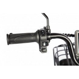 Трицикл Rutrike Топик