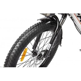 Электровелосипед GREEN CITY e-ALFA Fat