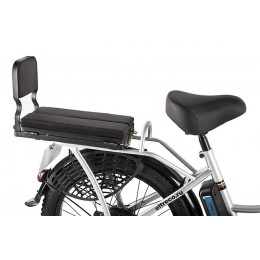 Электровелосипед GREEN CITY e-ALFA Fat