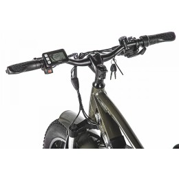 Электровелосипед VOLTECO BigCat Dual Next