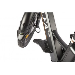 Трицикл GREEN CITY e-ALFA Trike