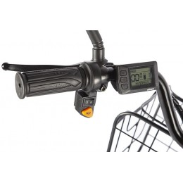 Трицикл GREEN CITY e-ALFA Trike