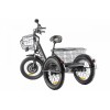 Трицикл GREEN CITY e-ALFA Trike