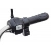 Грузовой электротрицикл Rutrike Вояж-П2 1250 60V 800W
