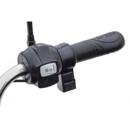 Грузовой электротрицикл Rutrike Вояж-П2 1250 60V 800W