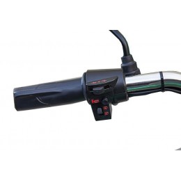 Грузовой электротрицикл Rutrike Вояж К1 1200 60V800W