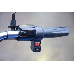 Грузовой электротрицикл Rutrike Вояж К 1300 60V800W