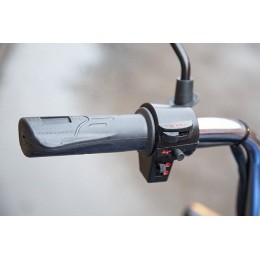 Грузовой электротрицикл Rutrike Вояж К 1300 60V800W