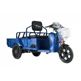 Трицикл Rutrike D1 ГП 1200 60V900W