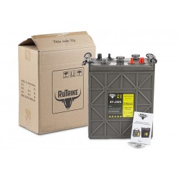 Комплект тяговых WET аккумуляторов Rutrike DT-J305 (J305H-AC) 48V215A/H