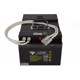 Литиевый тяговый аккумулятор RuTrike (18650 MnCoNi) 24V100A/H