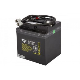 Литиевый тяговый аккумулятор RuTrike (18650 MnCoNi) 48V24A/H