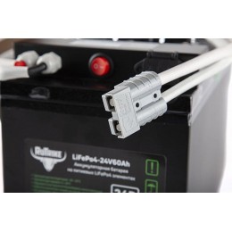 Тяговый аккумулятор Rutrike LiFePO4 24V60Ah (80A)