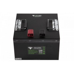 Тяговый аккумулятор Rutrike LiFePO4 24V80Ah (100A)