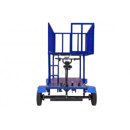 Платформенная тележка электрическая RuTrike ПАЛИСАД ЯРУС