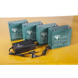 Платформенная тележка электрическая RuTrike ПЛИТА 2000