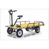 Платформенная тележка электрическая RuTrike СКЛАД 2000