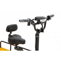 Платформенная тележка электрическая RuTrike СКЛАД 2500 NEW