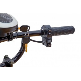 Платформенная тележка электрическая RuTrike ТАКСА ВАЙД