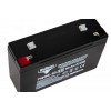 Аккумуляторная батарея RuTrike TNG6-10 (6V10A/H C20)