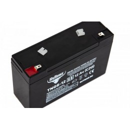 Аккумуляторная батарея RuTrike TNG6-12 (6V12A/H C20)