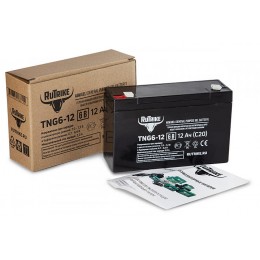 Аккумуляторная батарея RuTrike TNG6-12 (6V12A/H C20)
