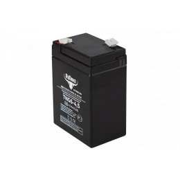 Аккумуляторная батарея RuTrike TNG6-4,5 (6V4,5A/H C20)