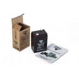 Аккумуляторная батарея RuTrike TNG6-4,5 (6V4,5A/H C20)