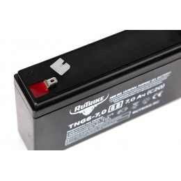 Аккумуляторная батарея RuTrike TNG6-7,0 (6V7,0A/H C20)