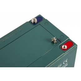 Тяговый аккумулятор RuTrike 6-DZF-12 (12V13A/H C3)