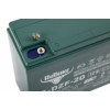 Тяговый аккумулятор RuTrike 6-DZF-20 (12V20A/H C2)