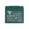 Тяговый аккумулятор RuTrike 6-DZF-20 (12V20A/H C2)