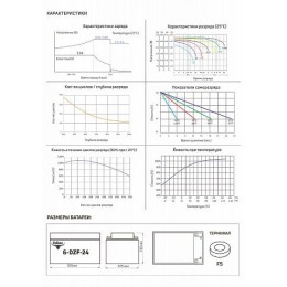 Тяговый аккумулятор RuTrike 6-DZF-24 (12V24A/H C2)