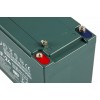 Тяговый аккумулятор RuTrike 6-DZF-24 (12V24A/H C2)