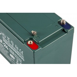 Тяговый аккумулятор RuTrike 6-DZF-24 (12V24A/H C2)