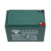 Тяговый аккумулятор RuTrike 6-DZF-24 (12V24A/H C2)