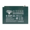 Тяговый аккумулятор RuTrike 6-DZF-24 (12V24A/H C2)