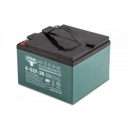Тяговый аккумулятор RuTrike 6-DZF-28 (12V28A/H C3)