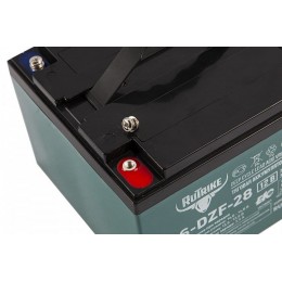 Тяговый аккумулятор RuTrike 6-DZF-28 (12V28A/H C3)