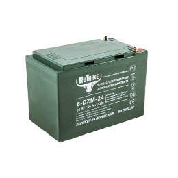 Тяговый аккумулятор RuTrike 6-DZM-24 (12V24A/H C2)