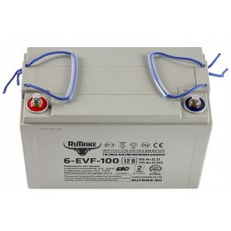 Тяговый аккумулятор RuTrike 6-EVF-100 (12V100A/H C3)
