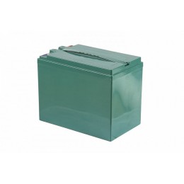 Тяговый аккумулятор RuTrike 6-EVF-52 (12V52A/H C3)