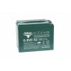 Тяговый аккумулятор RuTrike 6-EVF-52 (12V52A/H C3)