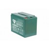 Тяговый аккумулятор RuTrike 6-EVF-52 (12V52A/H C3)