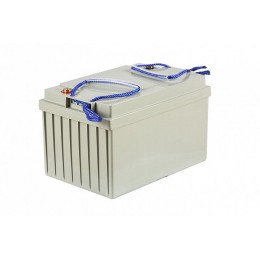Тяговый аккумулятор RuTrike 6-EVF-60 (12V60A/H C3)