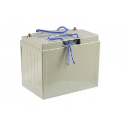 Тяговый аккумулятор RuTrike 6-EVF-80 (12V80A/H C3)