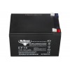 Тяговый аккумулятор RuTrike 6-F-12 (12V12A/H C20)