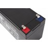 Тяговый аккумулятор RuTrike 6-F-7 (12V7A/H C20)