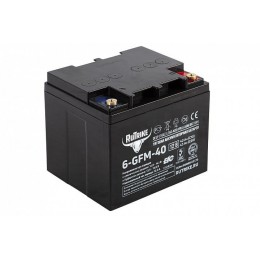Тяговый аккумулятор RuTrike 6-GFM-40 (12V43A/H C20)